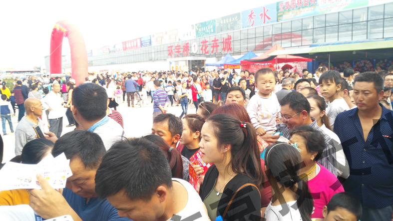 环宇花卉城马戏表演