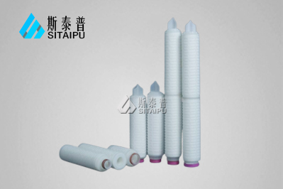 定子冷却水滤芯 SGV1-65/10