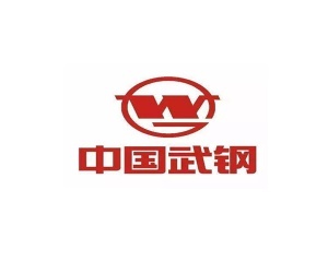 中国武钢