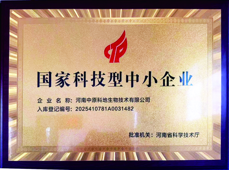 國家科技型中小企業(yè)