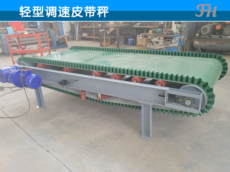 轻型调速皮带秤