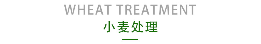 小麦处理.jpg