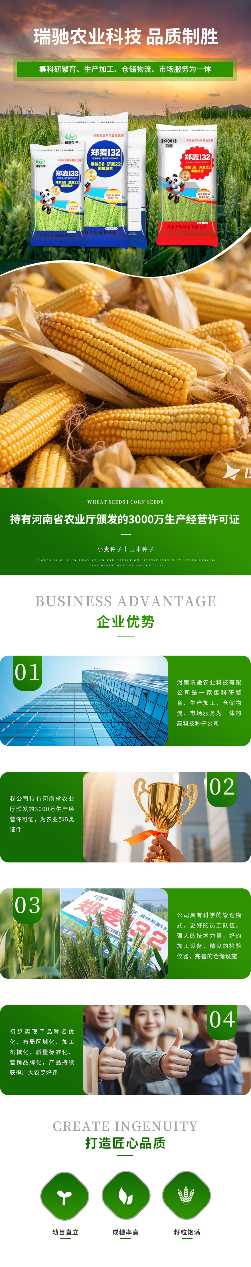 公司介绍.jpg