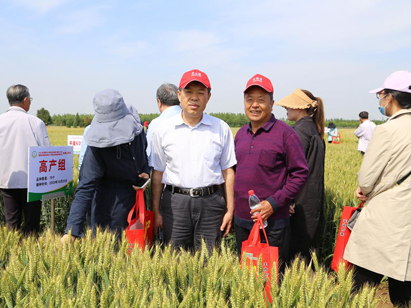 国家区试中心王强与育种人乔占新在天宁38号前留影（2021年）