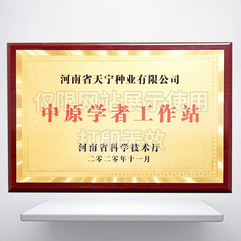 中原学者工作站