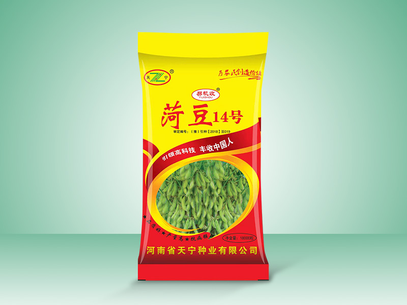 菏豆14号