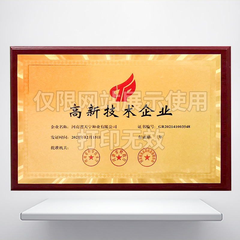 高新技术企业