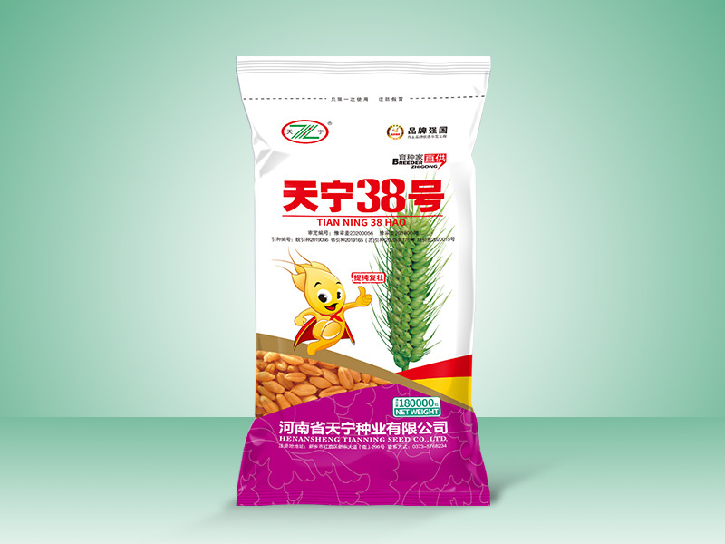 天宁38号