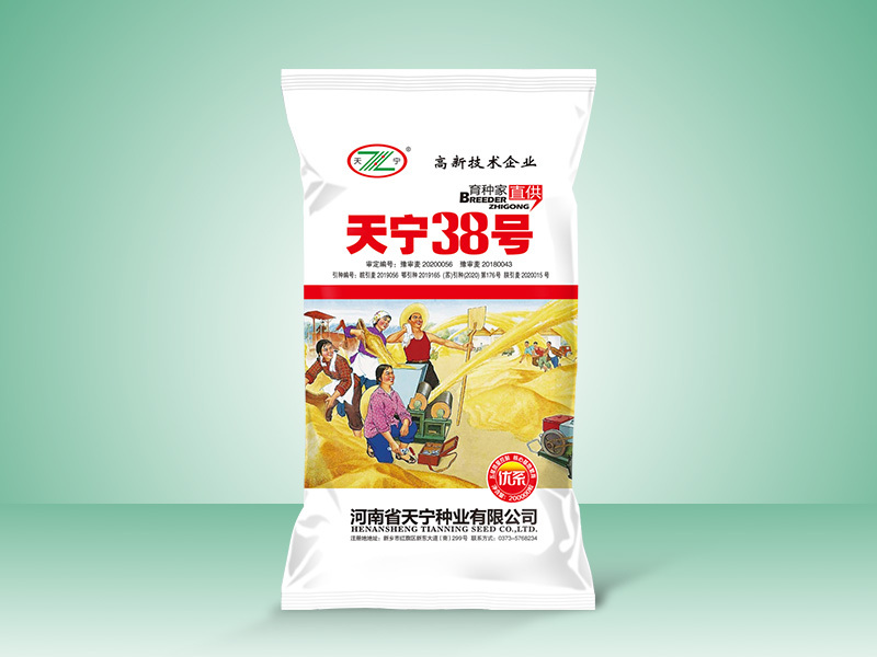 天宁38号