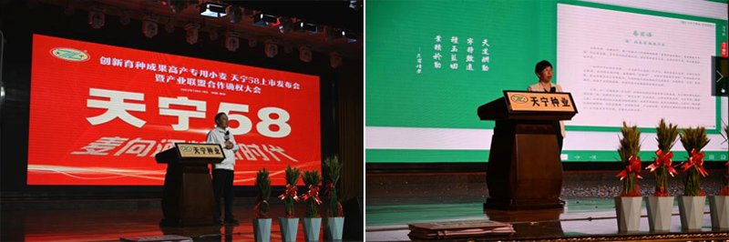 7合成.jpg