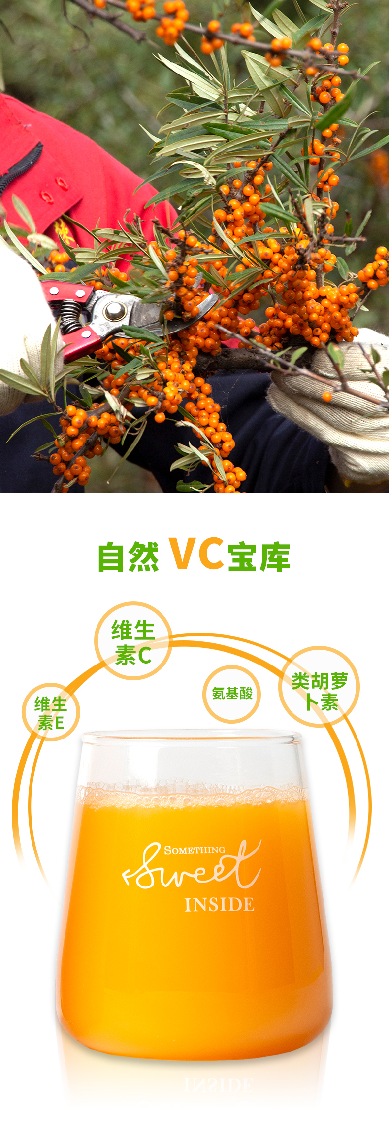 350ml_03.jpg