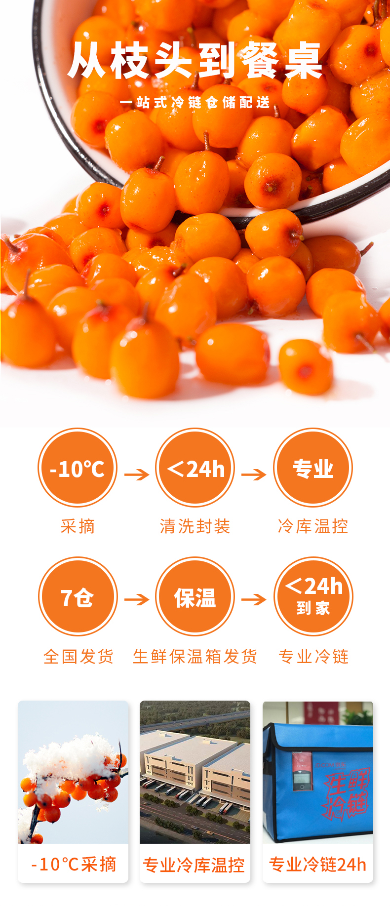 -深秋红_06.jpg