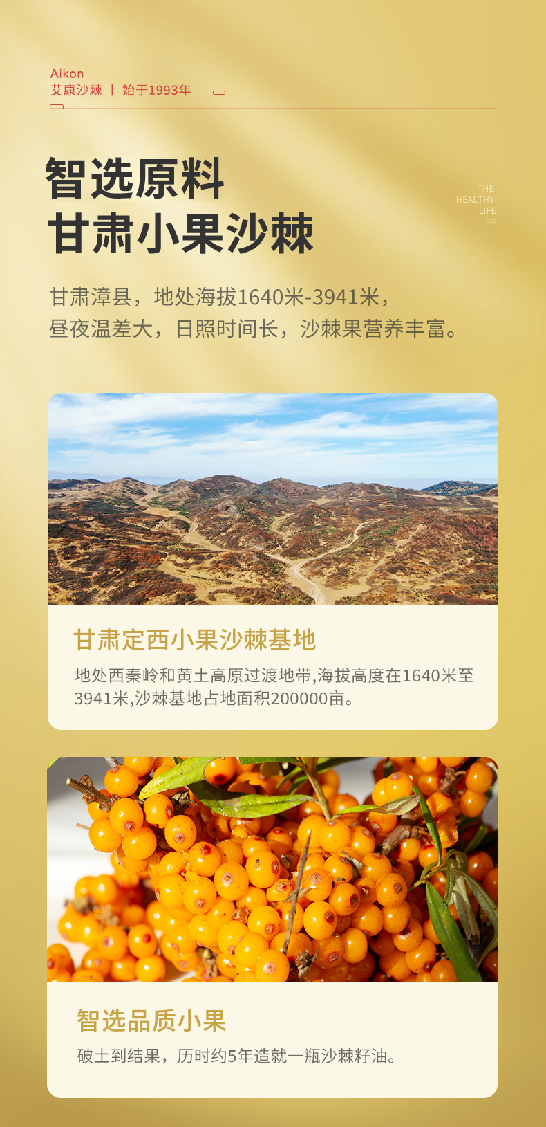 30ml籽油_04.jpg