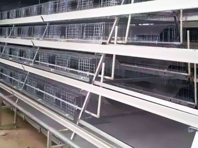 A型全自动蛋鸡喂养系统