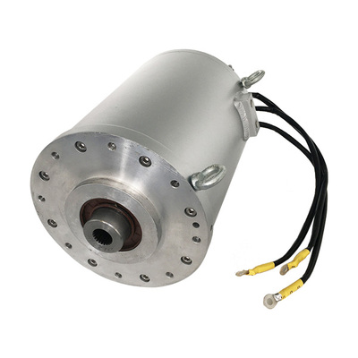 TZ series EV motor(PMSM)