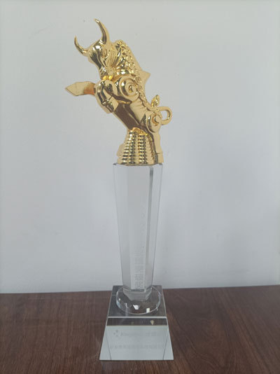 业绩突破奖