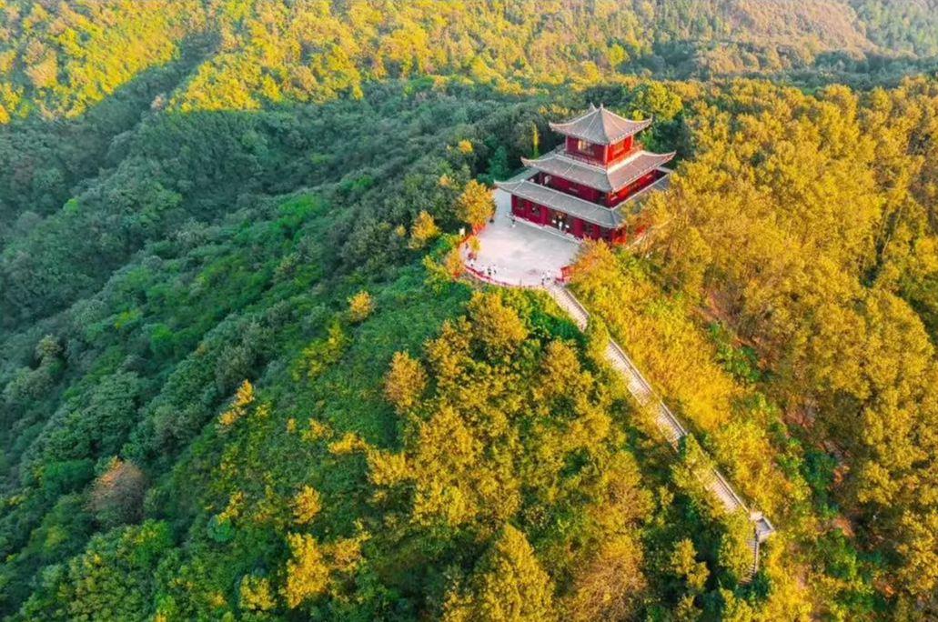 新世纪游乐：与法国ARBRE & AVENTUE公司合作，打造九真山丛林探险乐园