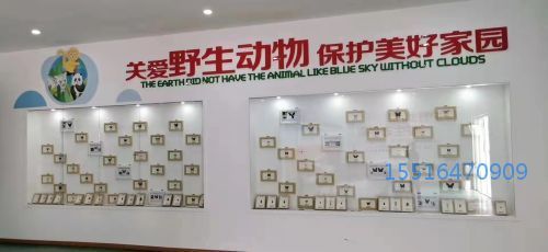 昆虫标本教学标本