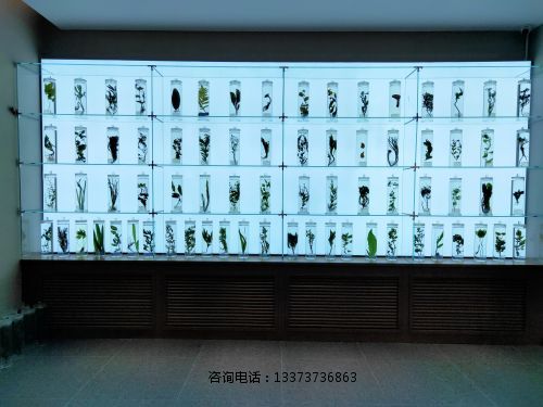 ******浸制标本_(5).jpg