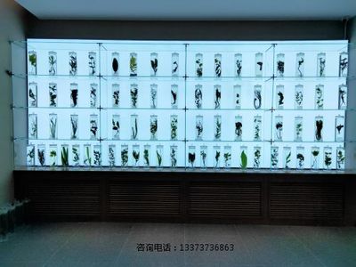 中药浸制标本教学展示标本