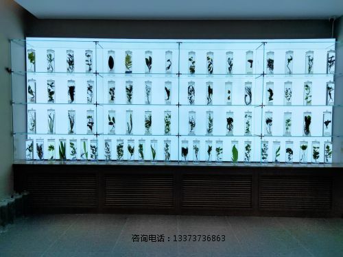 ******浸制标本教学展示标本