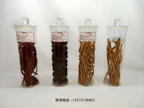 ******标本教学标本