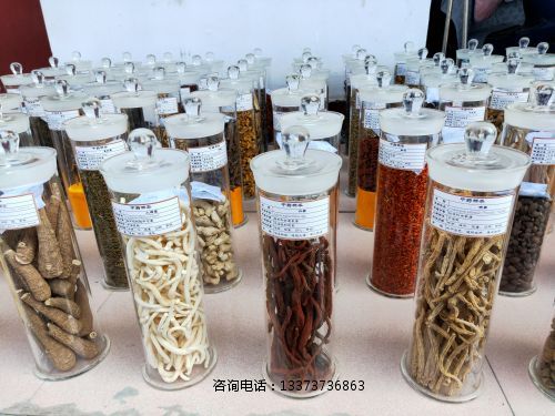 ******标本_(3).jpg