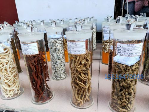 浸制标本中草药标本