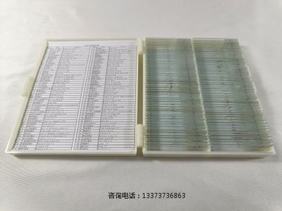 动植物装片标本教学标本