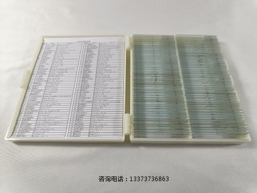 动植物装片标本教学标本
