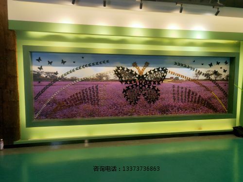蝴蝶标本_(3).jpg