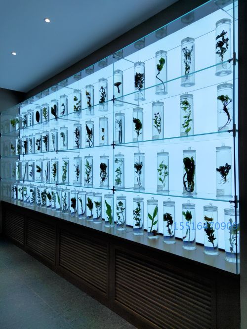 浸制植物标本.jpg