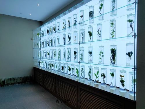 ******浸制标本教学展示标本