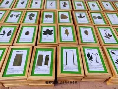植物病害原色标本教学标本