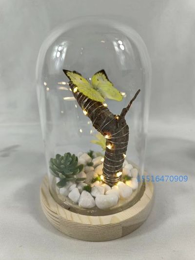 蝴蝶标本微景观标本实验标本