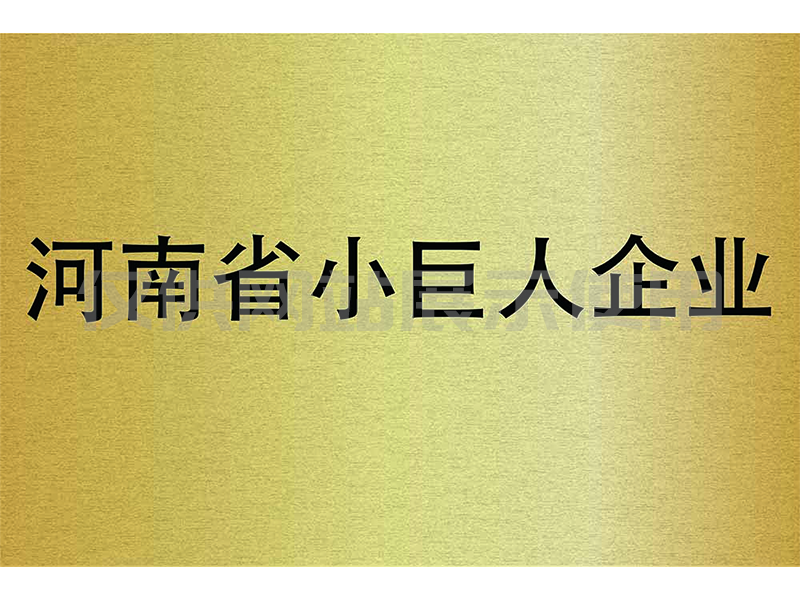 河南省小巨人企业