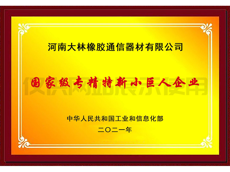 国家级专精特新小巨人企业