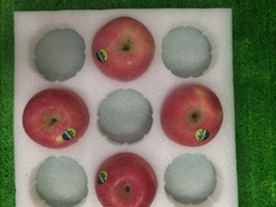 陕西珍珠棉果托