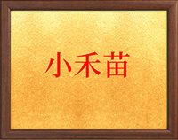 河南小禾苗后勤管理服务有限公司