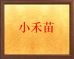 河南小禾苗后勤管理服务有限公司