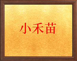 河南小禾苗后勤管理服务有限公司