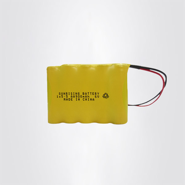NI CD 5XAA900MAH 出引线