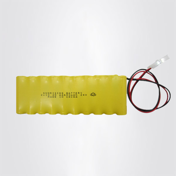 NI CD 2X10 20AA 應(yīng)急電源專(zhuān)用