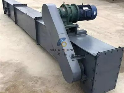 Chain Conveyor