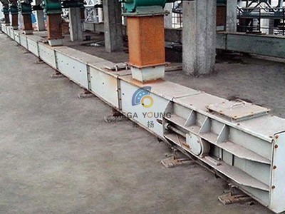 Chain Conveyor
