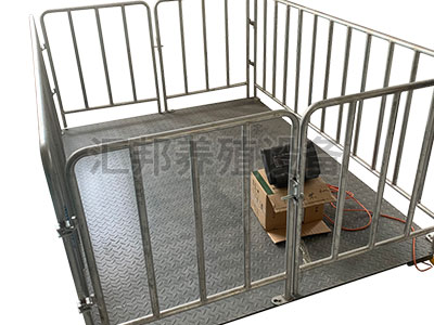 养猪场小型地磅