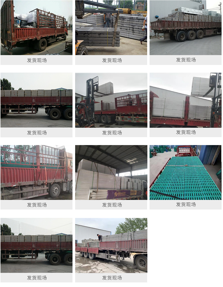 发货现场.jpg