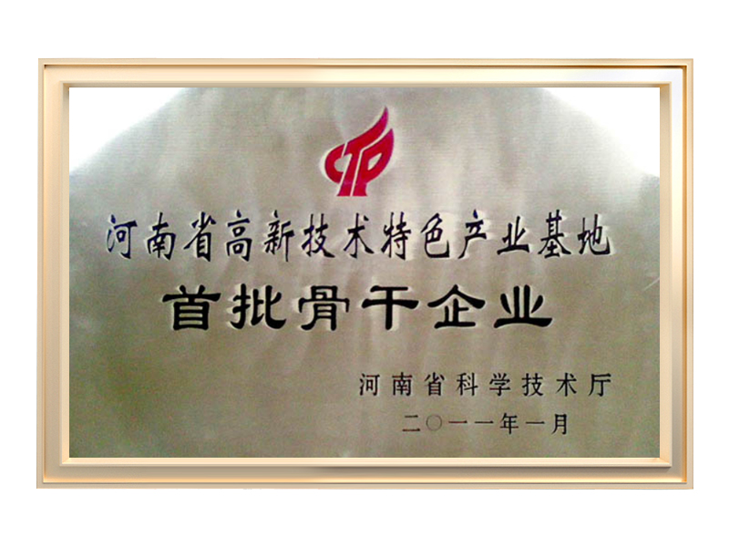 骨干企业