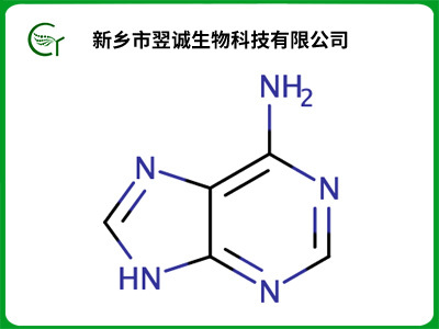 腺嘌呤