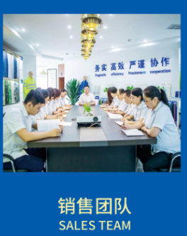 SALES TEAM